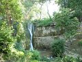IMG_1921