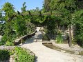 IMG_1931