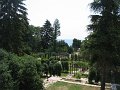 IMG_7417