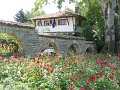 IMG_7421