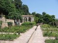 IMG_7462