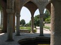 IMG_7469