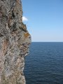 IMG_7497
