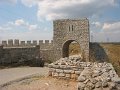 IMG_7504