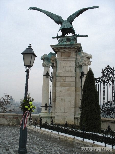 IMG_0886.jpg