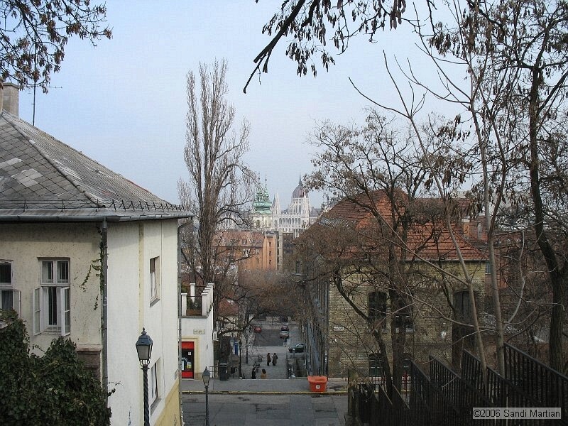 IMG_0986.jpg