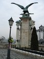 IMG_0886