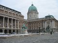 IMG_0905
