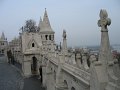 IMG_0941