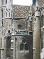 IMG_0944