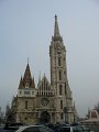 IMG_0981