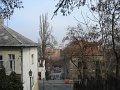 IMG_0986