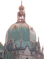 IMG_1008