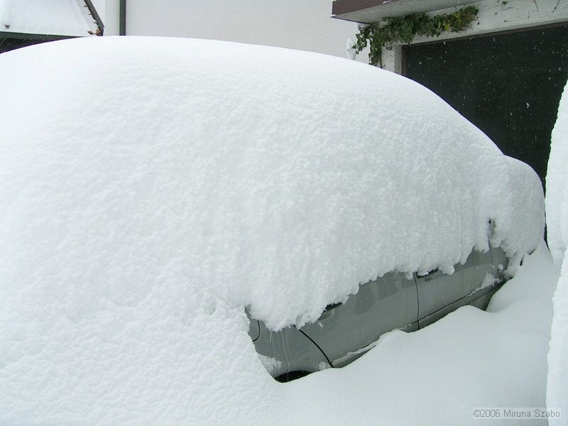 DSCN6779.jpg