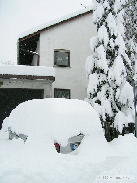 DSCN6783.jpg