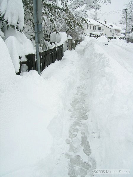 DSCN6798.jpg
