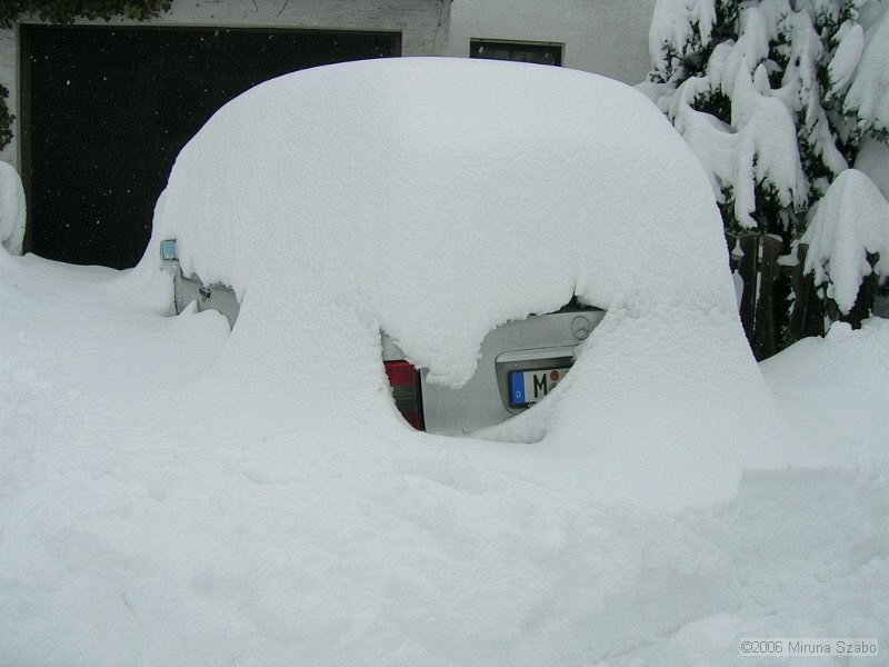 DSCN6799.jpg