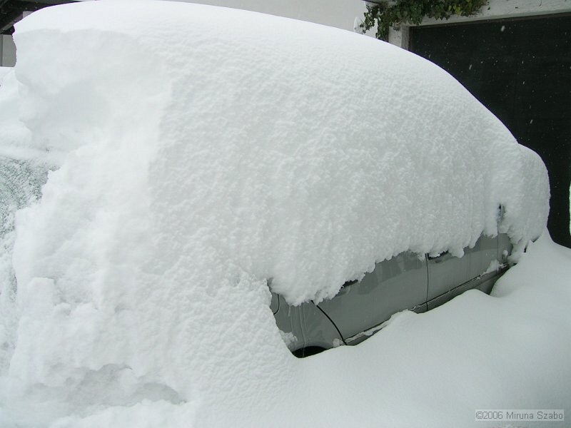 DSCN6805.jpg