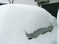 DSCN6779