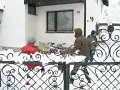DSCN6780