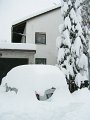 DSCN6783