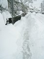 DSCN6798
