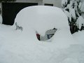 DSCN6799