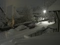 IMG_0601