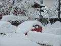 IMG_0619