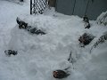 IMG_0628