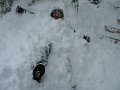 IMG_0629