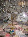 IMG_0633