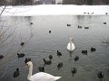 IMG_0653