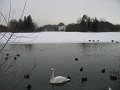 IMG_0656