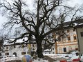 IMG_0714