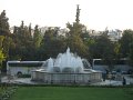 IMG_7082