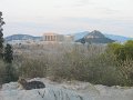 IMG_7203