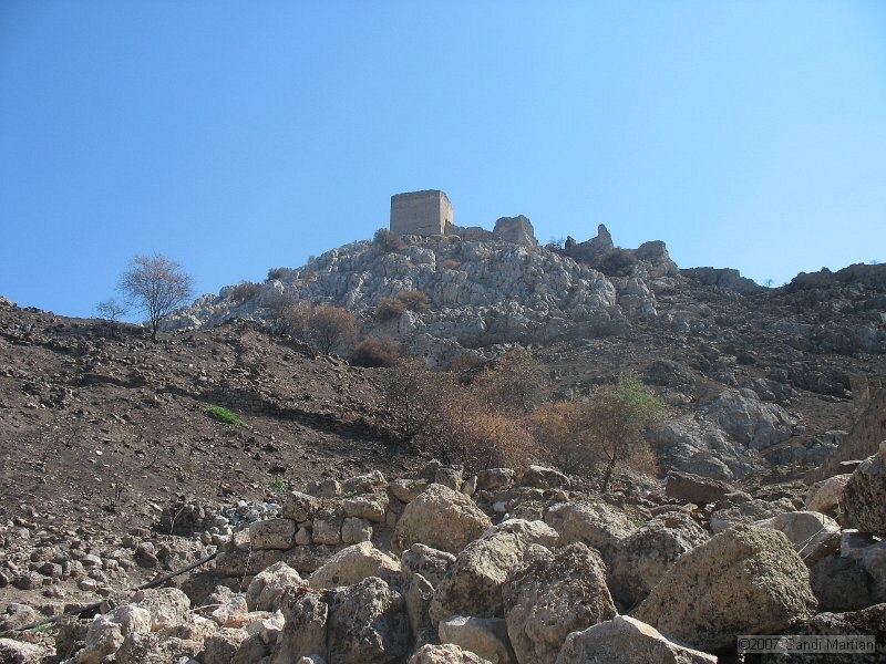 IMG_7264.JPG