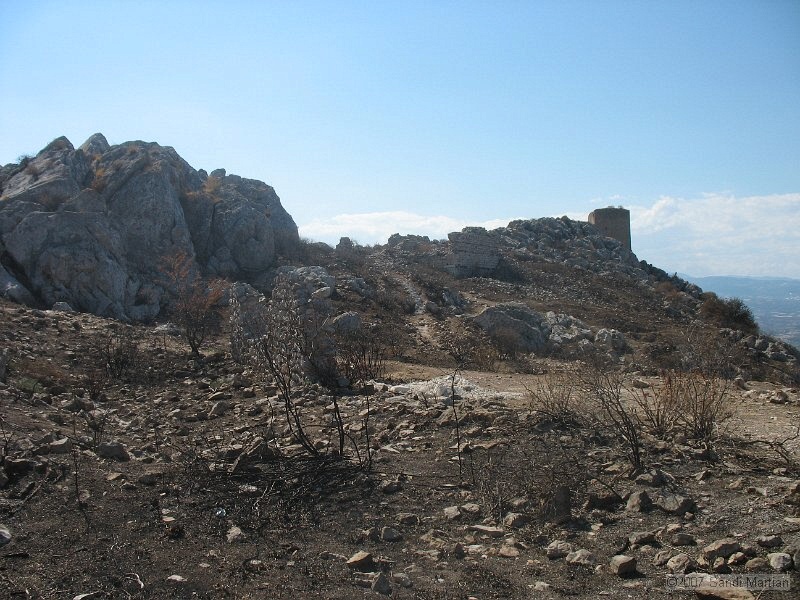 IMG_7273.JPG