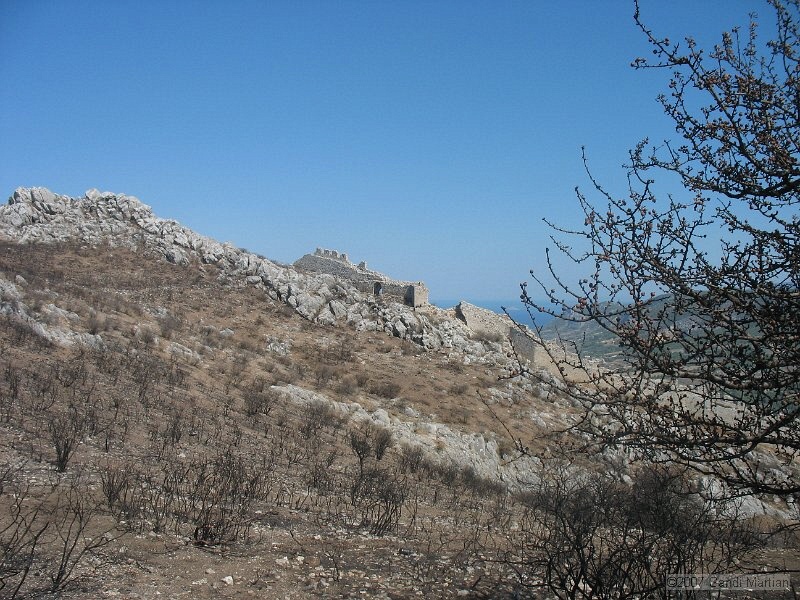 IMG_7274.JPG