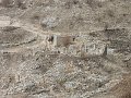 IMG_7269