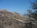 IMG_7274