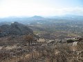IMG_7275