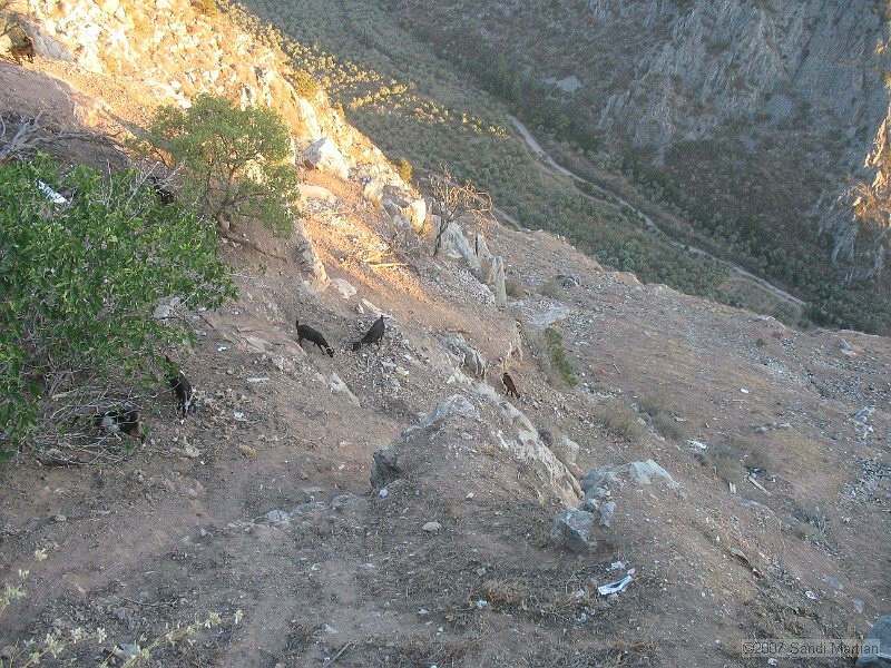 IMG_7656.JPG