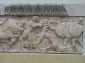 IMG_7673
