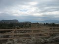 IMG_7377