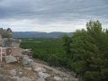 IMG_7383