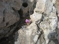 IMG_7619