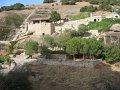 IMG_6729