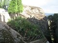IMG_6740